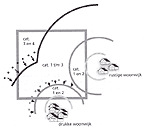 Bedrijven en milieuzonering