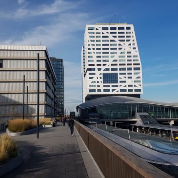 Omgevingswet in de gemeentelijke praktijk